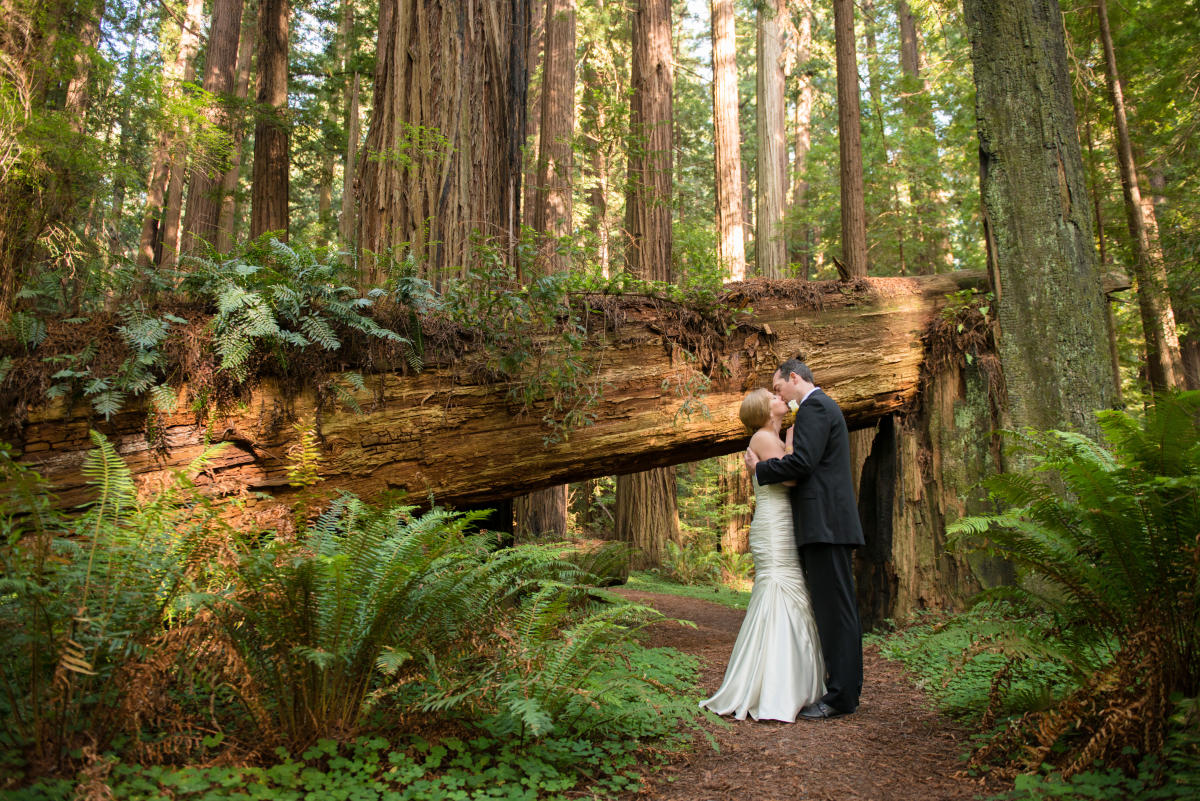 Weddings in Redwood National & State Parks