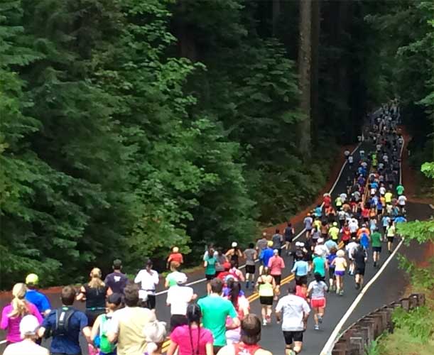 Avenue of the Giants Marathon