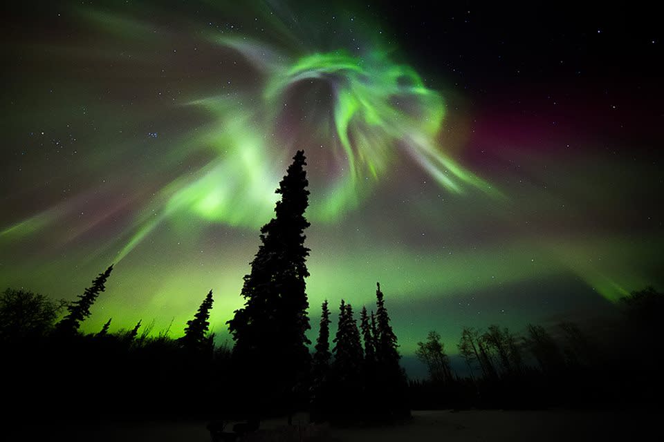 Alaska Aurora Adventures