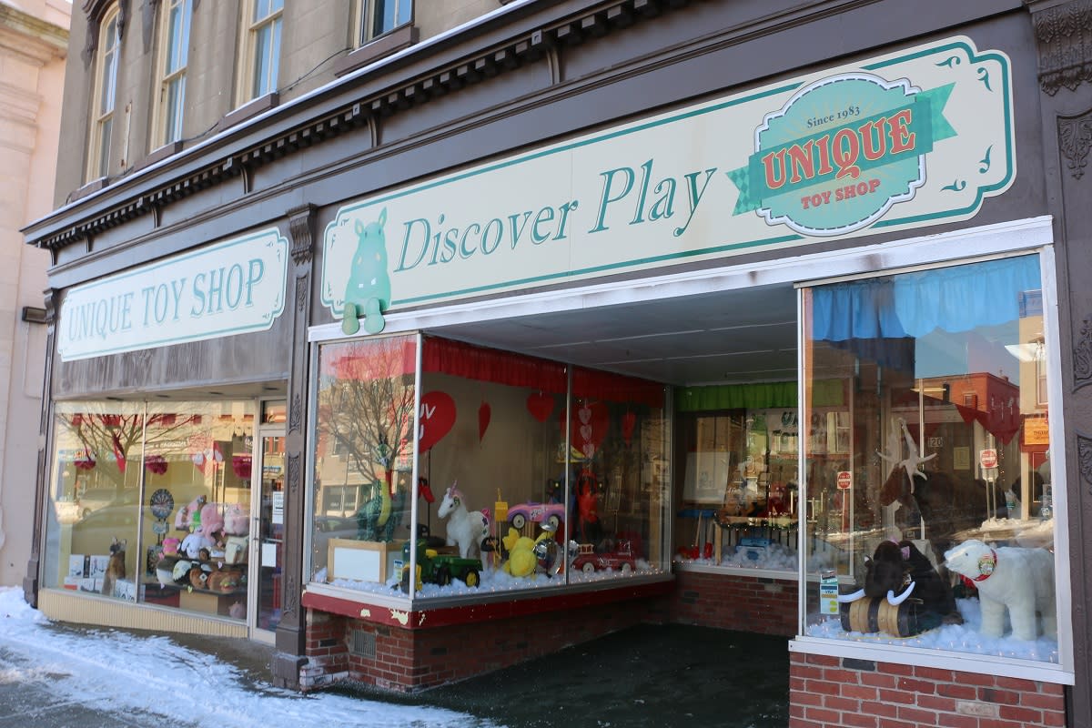 Unique Toy Shop Canandaigua, NY