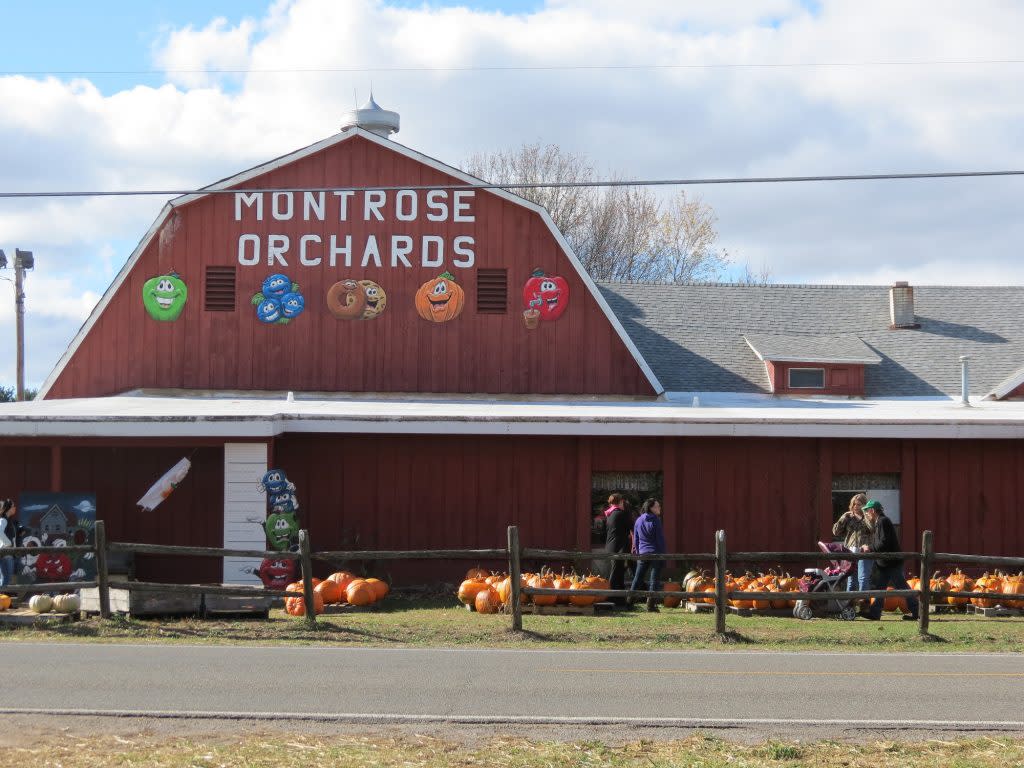 Montrose Orchards