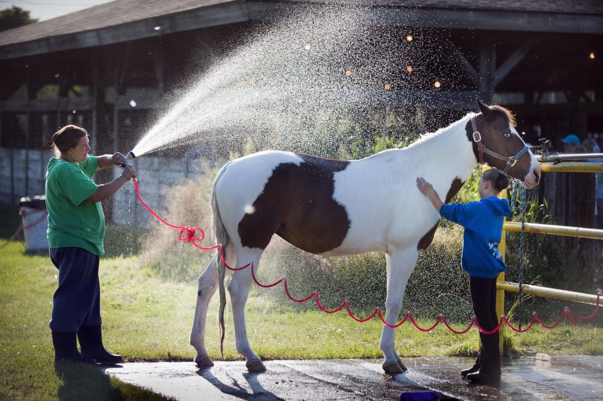 Elba Equestrian Complex