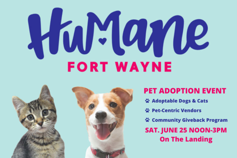 Fetch pet resort leantyred