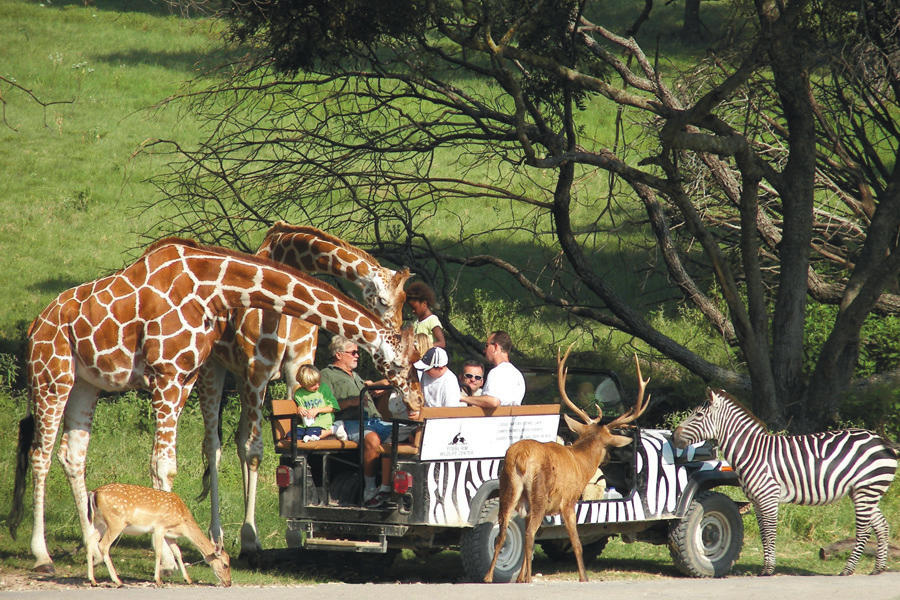 Fossil Rim Wildlife Center Glen Rose Tx 76043