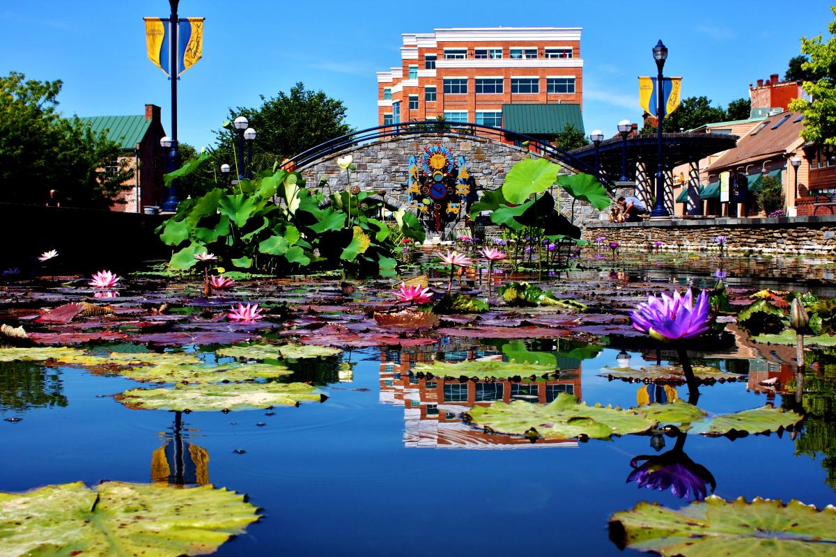 Carroll Creek Park Frederick, MD 21701
