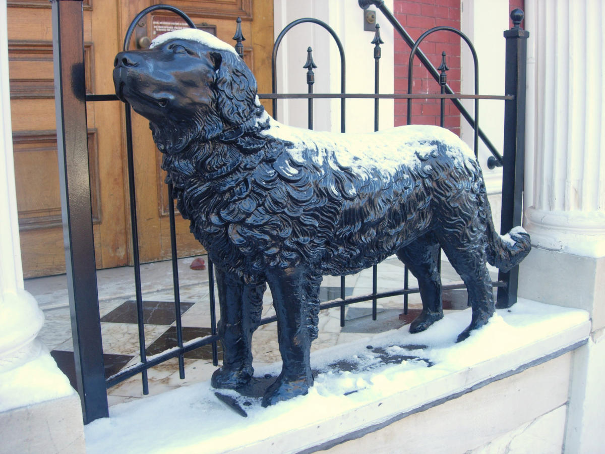 “Charity” the Dog Statue Frederick, MD 21701