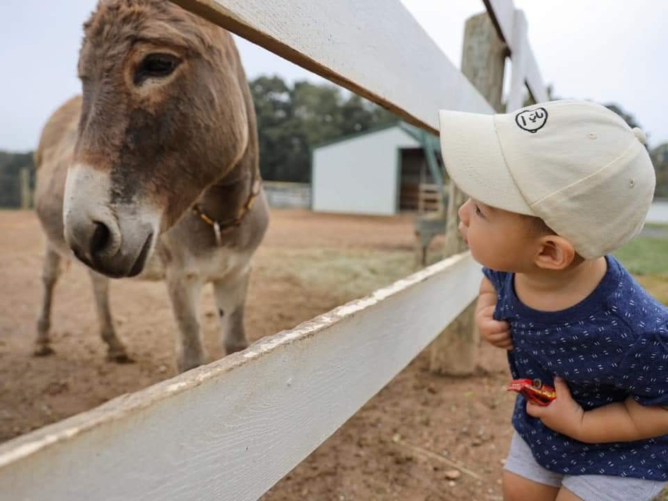 Green Meadows Petting Farm Ijamsville, MD 21754