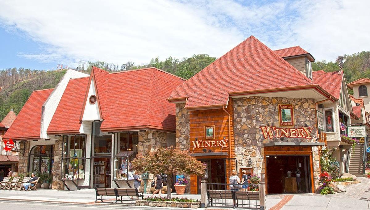 The Maples' Tree Gatlinburg, TN 37738