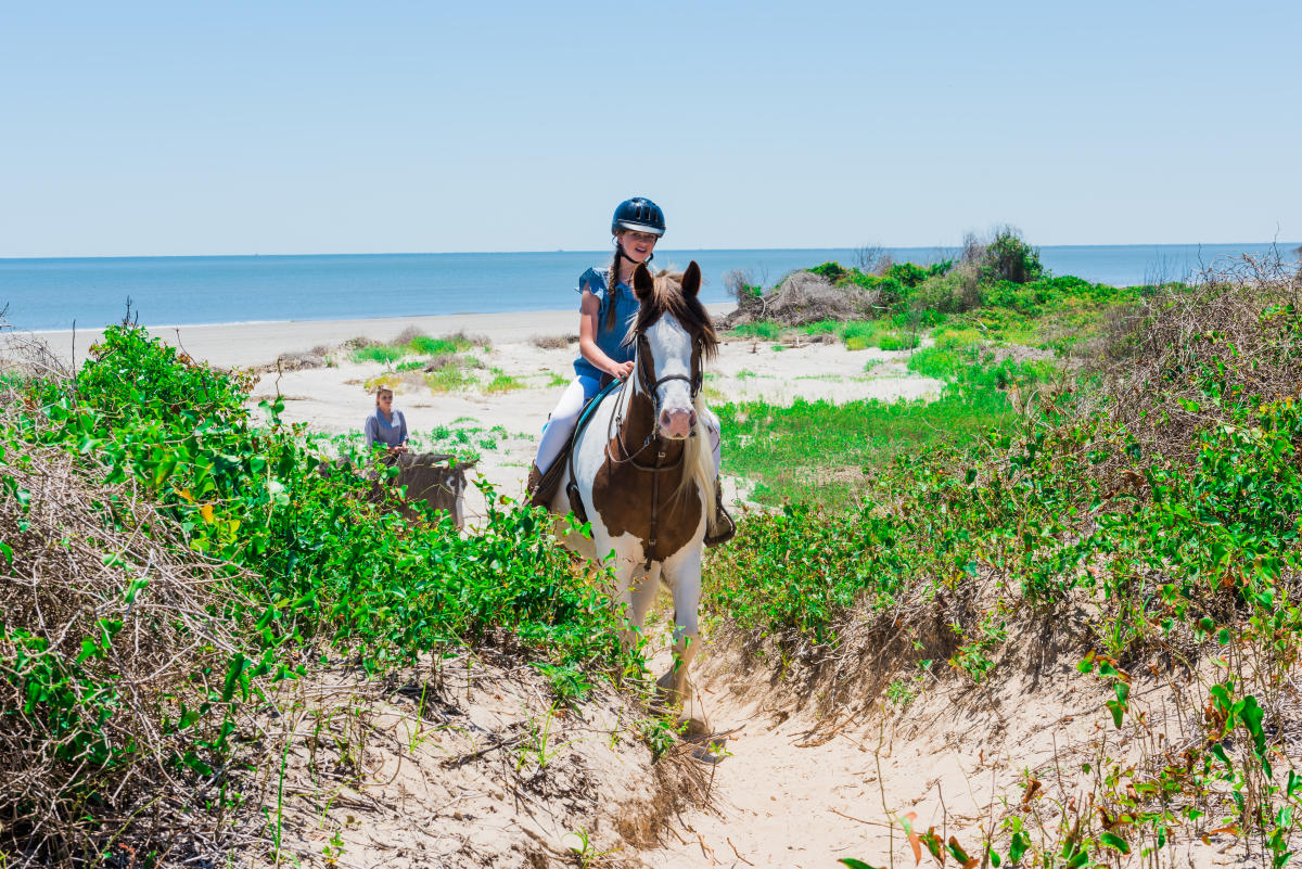 The Stables At Frederica St Simons Island Ga 31522