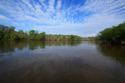 Altamaha Regional Park Brunswick Ga 31525