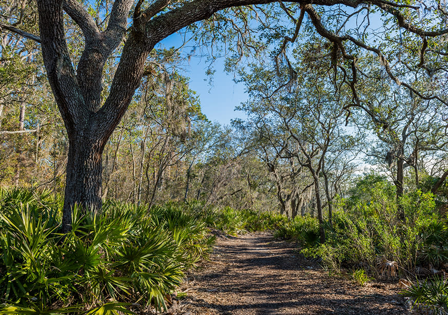 Blythe Island Regional Park Brunswick Ga 31523