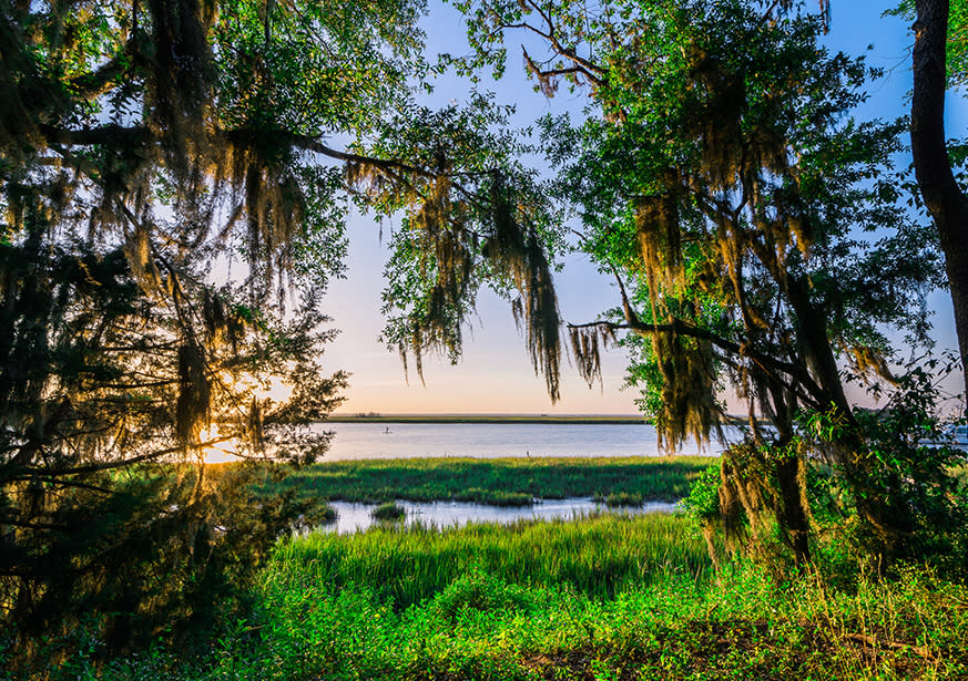 Gascoigne Bluff St Simons Island Ga 31522