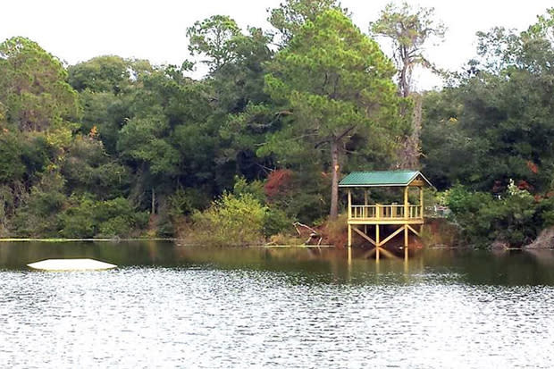 Horton Pond Jekyll Island Ga 31527