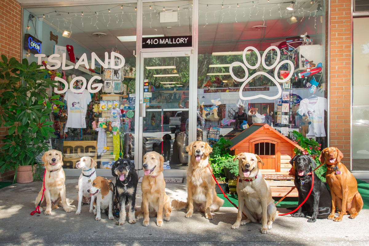 Island Dog | St. Simons Island, GA 31522
