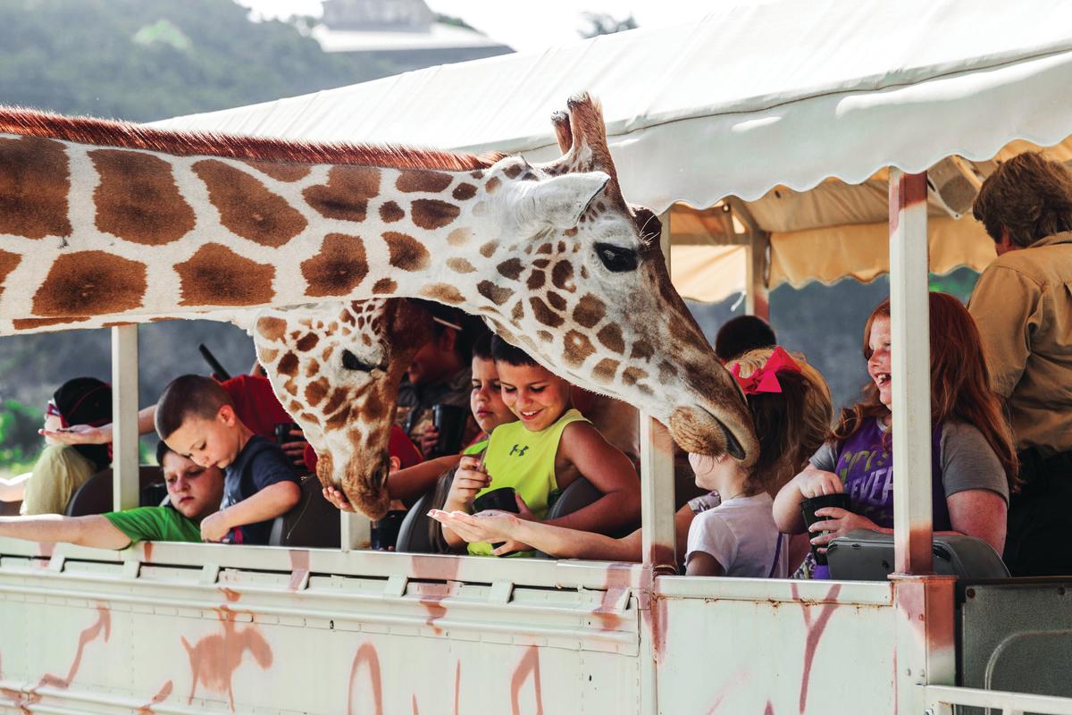 Coupon for fossil rim wildlife center