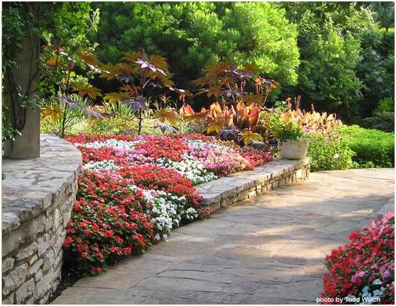 Fort Worth Botanic Gardens