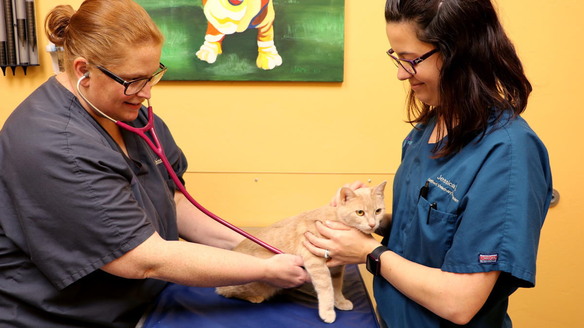 Packerland Veterinary Center