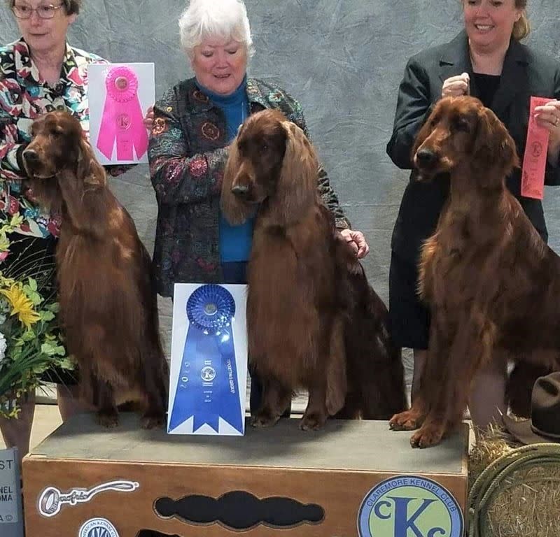 MidContinent Kennel Club of Tulsa Dog Show Green Country Oklahoma