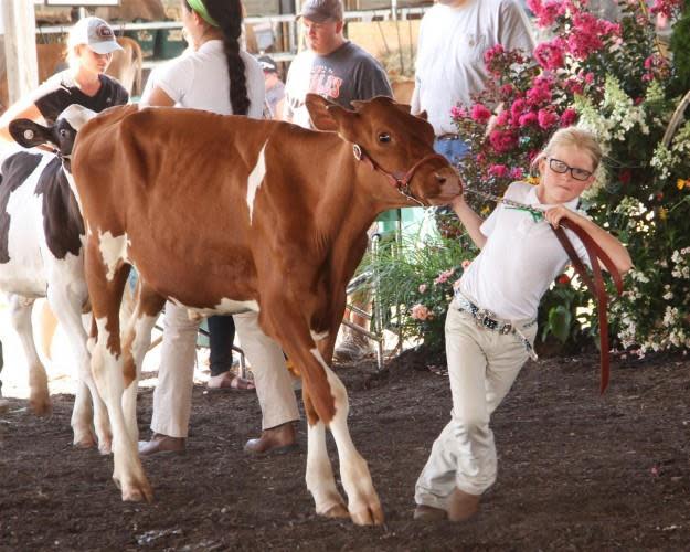 Washington County Free Fair 2022 | Green Country Oklahoma | Official Site