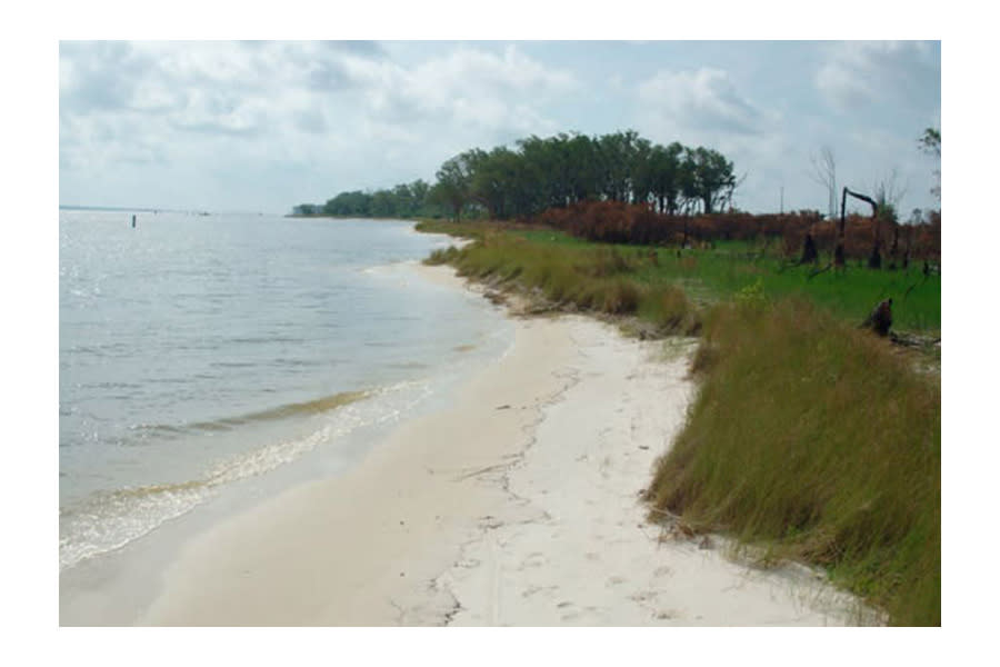 Ms Biggy Deer Island Fishing Biloxi Ms 39530