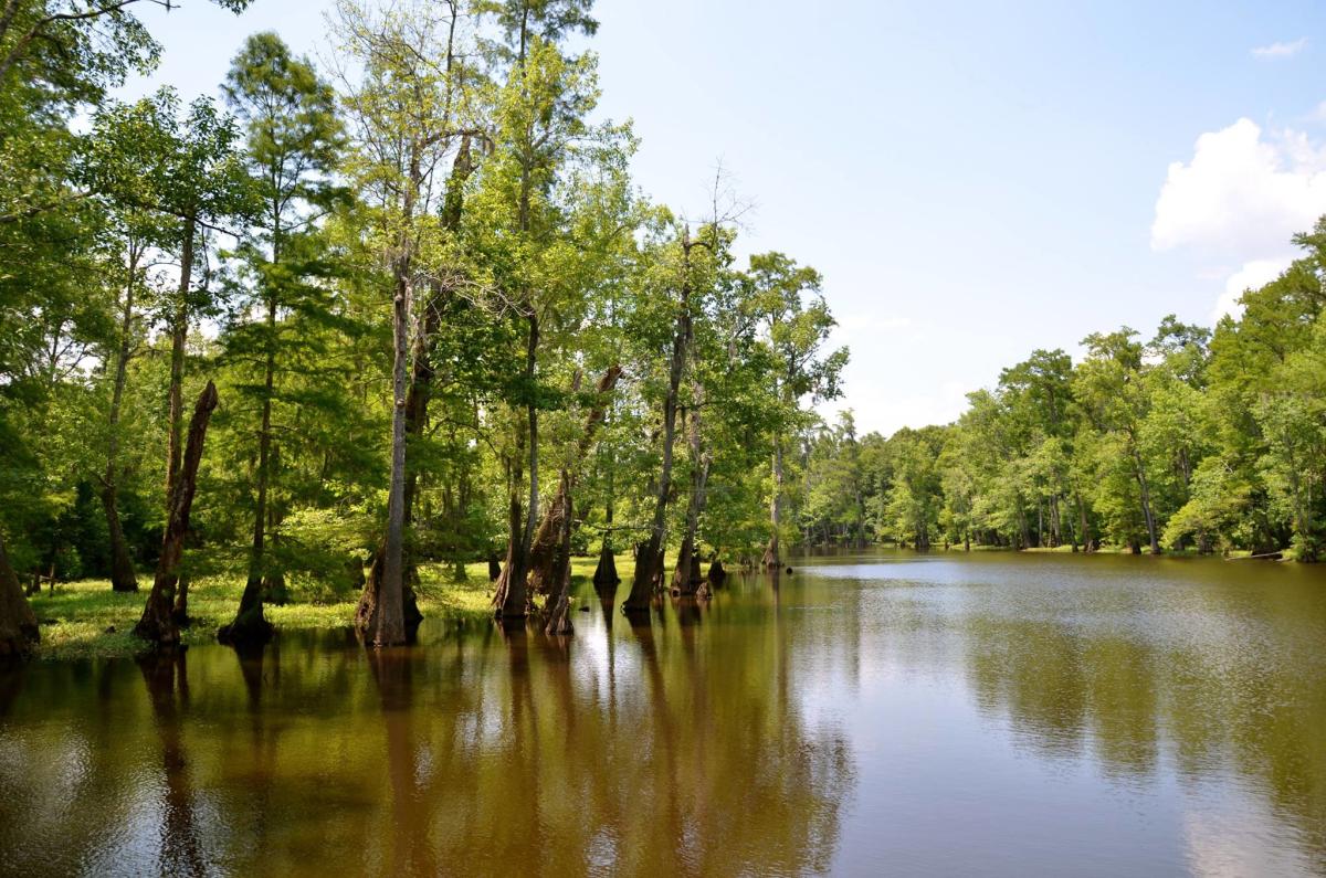 Pascagoula River Blueway Pascagoula Ms 39568