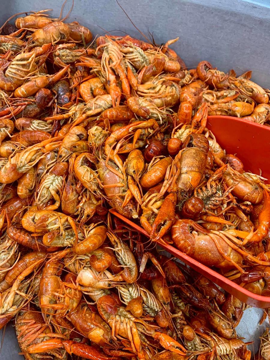 Quality Poultry & Seafood Biloxi, MS 39530