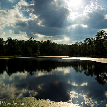 Pow Lake Recreation Area Saucier Ms 39574