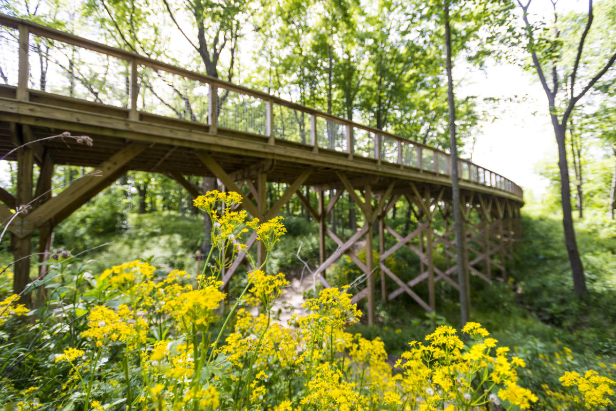 Flat Fork Creek Park Fishers IN, 46038