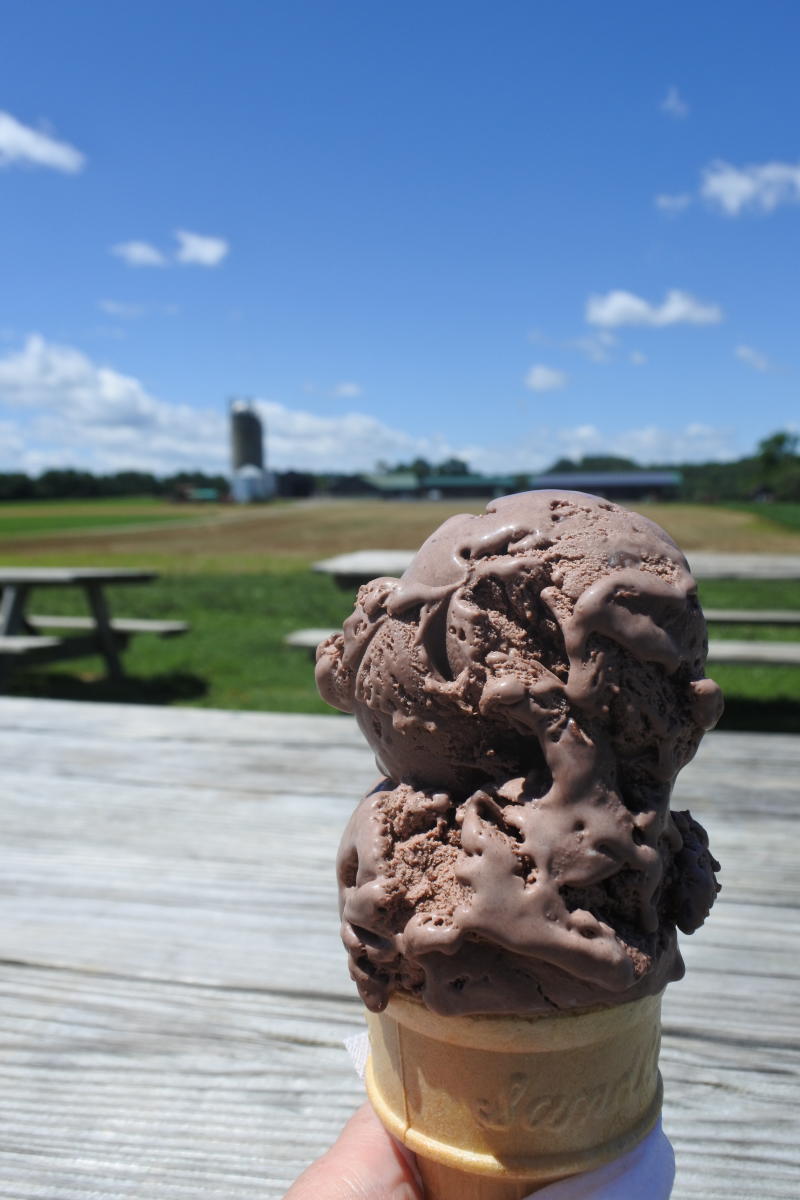 Broom’s Bloom Dairy