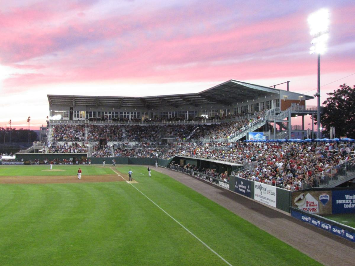 Harrisburg Senators Baseball
