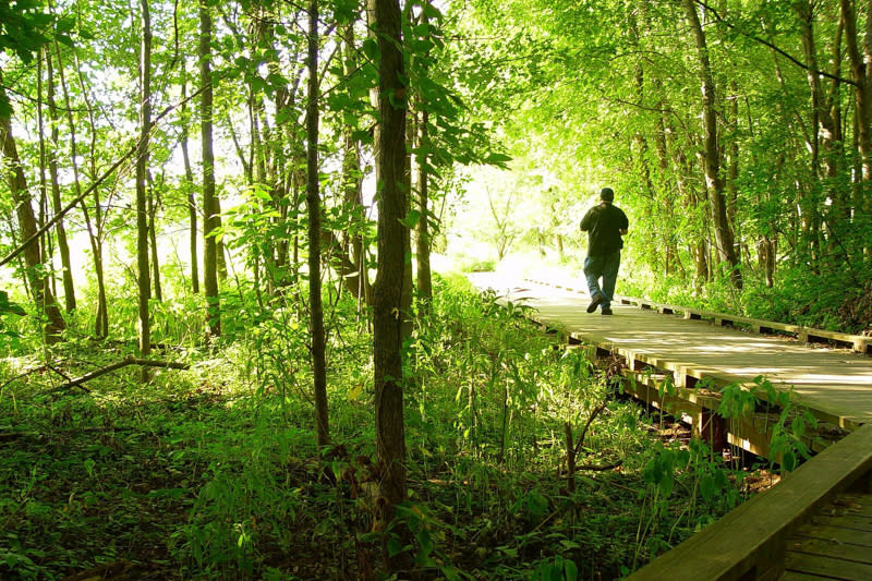 Wildwood Park