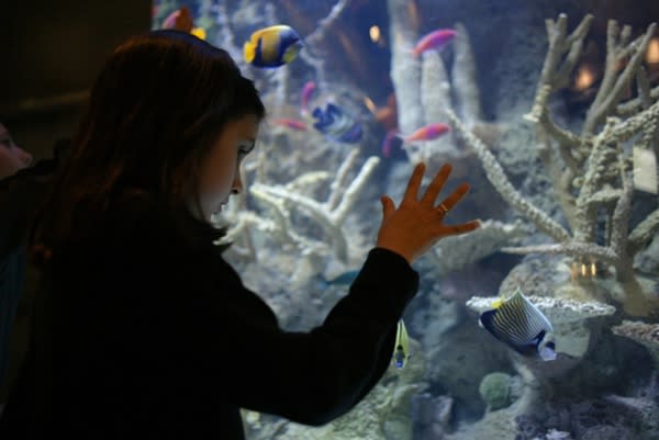 Downtown Aquarium | Things To Do in Houston, TX