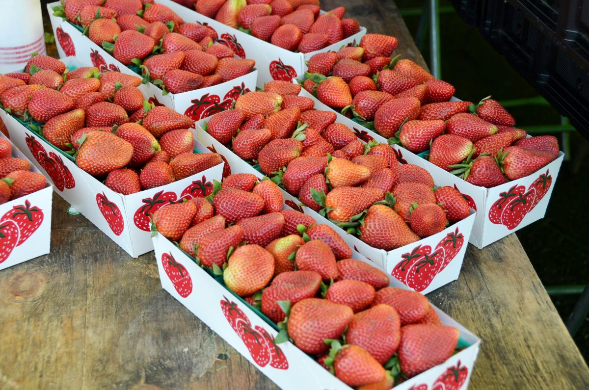 Irvine Farmers Market アメリカ生活初心者の日常 in アーバイン