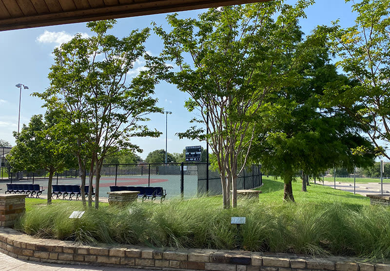 Cottonwood Creek Park