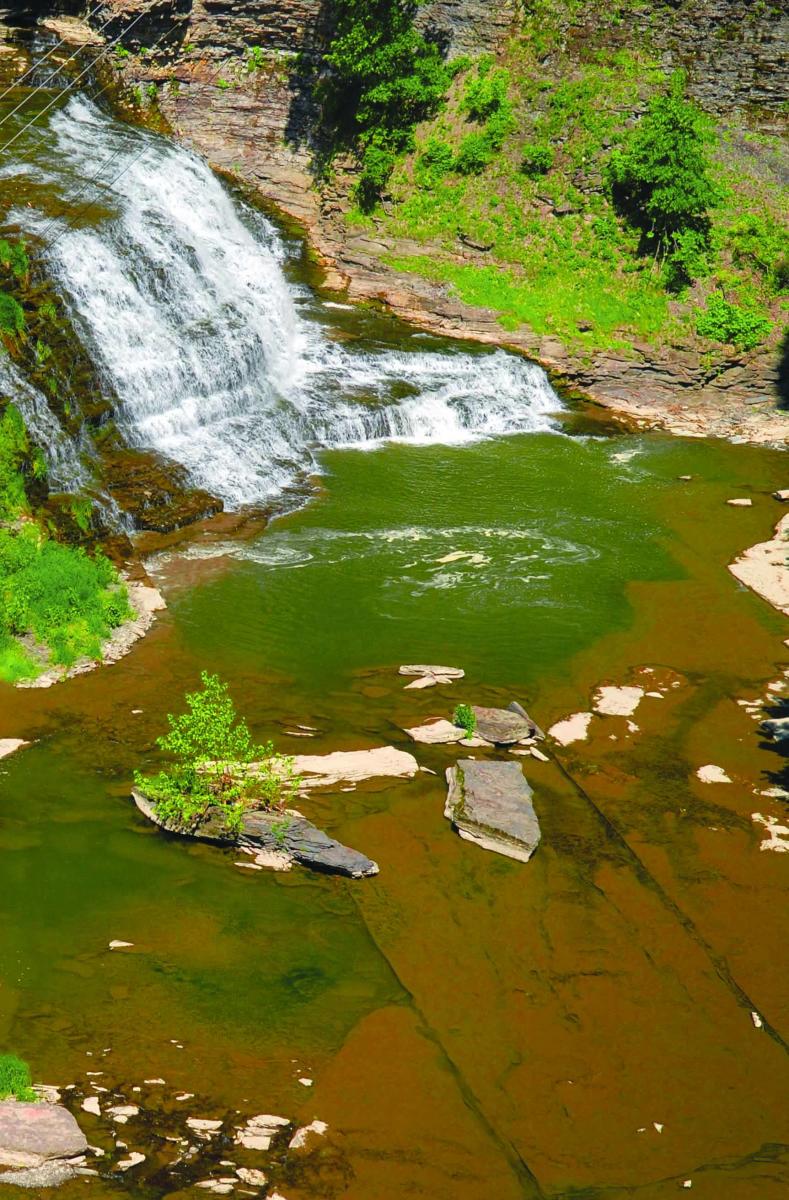 Rocky Falls on Fall Creek / Cornell Natural Areas