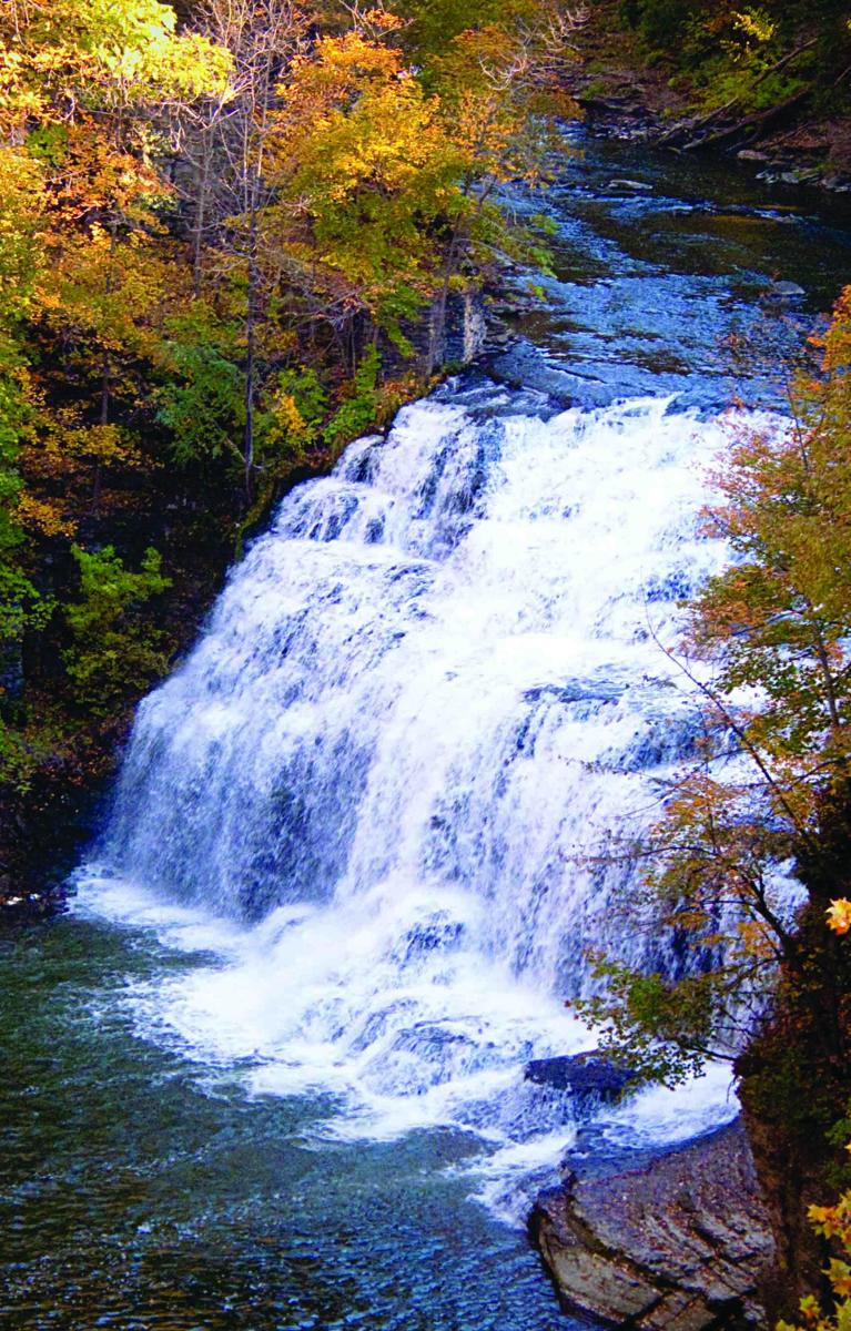 Forest Falls on Fall Creek / Cornell Natural Areas