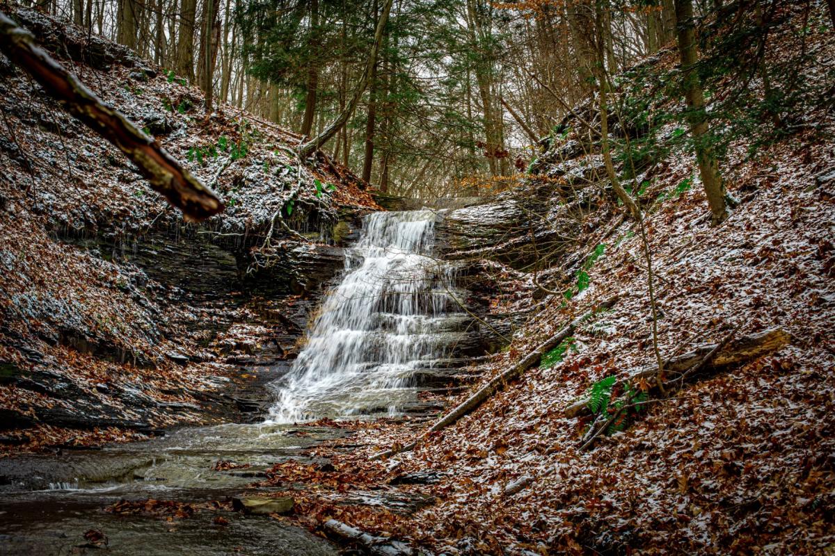 Denison Falls at Cayuga Nature Center