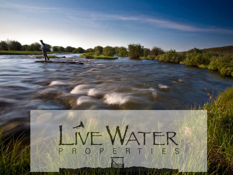 Latham Jenkins Live Water Jackson Hole