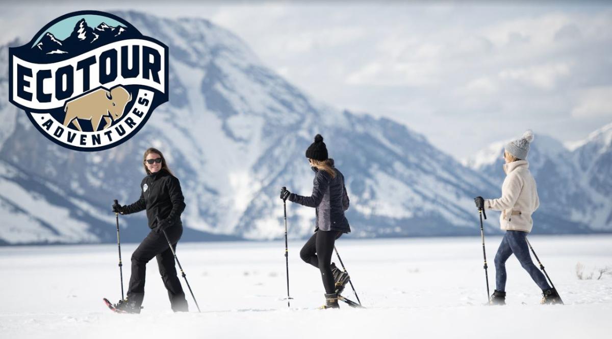 Jackson Hole EcoTour Adventures