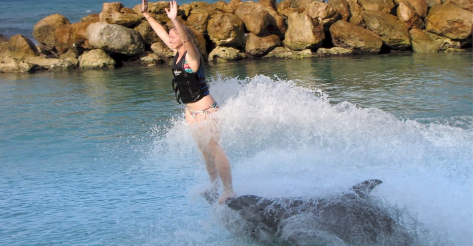 Dolphin Cove Limited