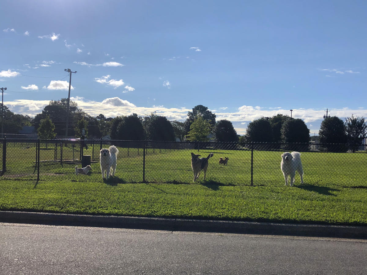 Smithfield Dog Park