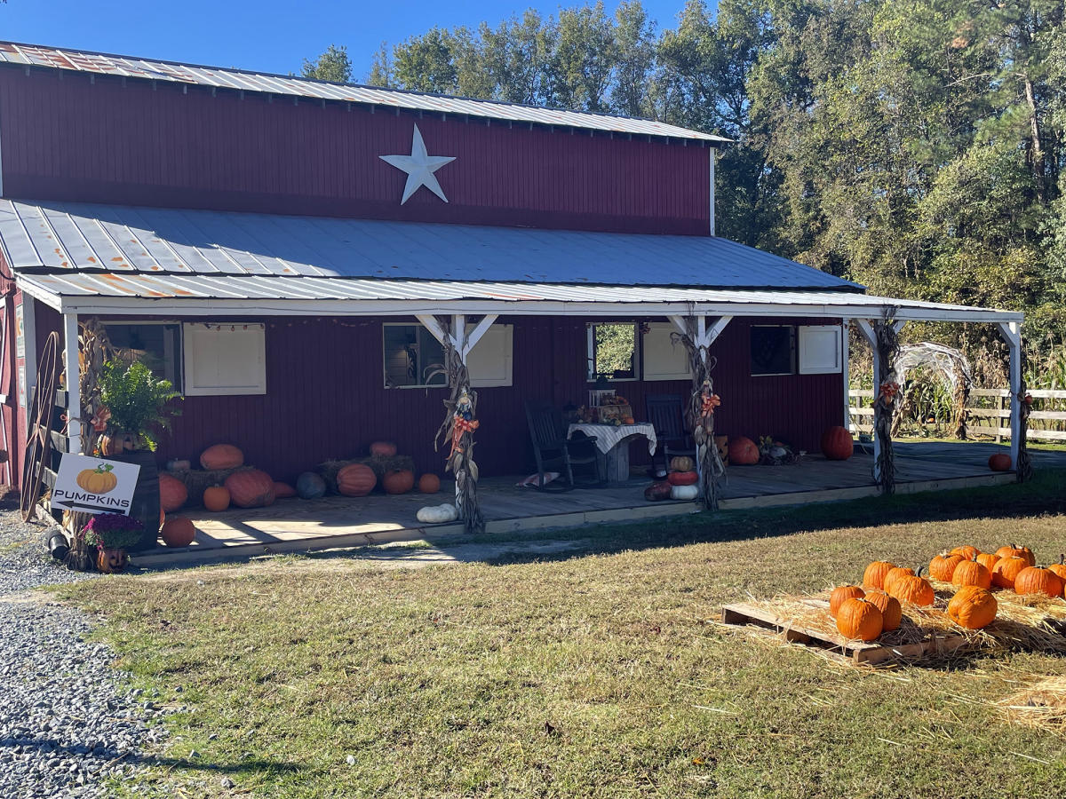Ashlan Meadows Family Farm