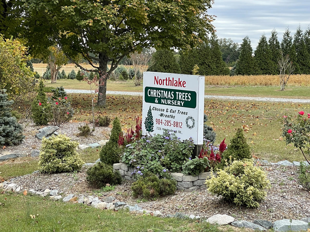Northlake Christmas Trees & Nursery