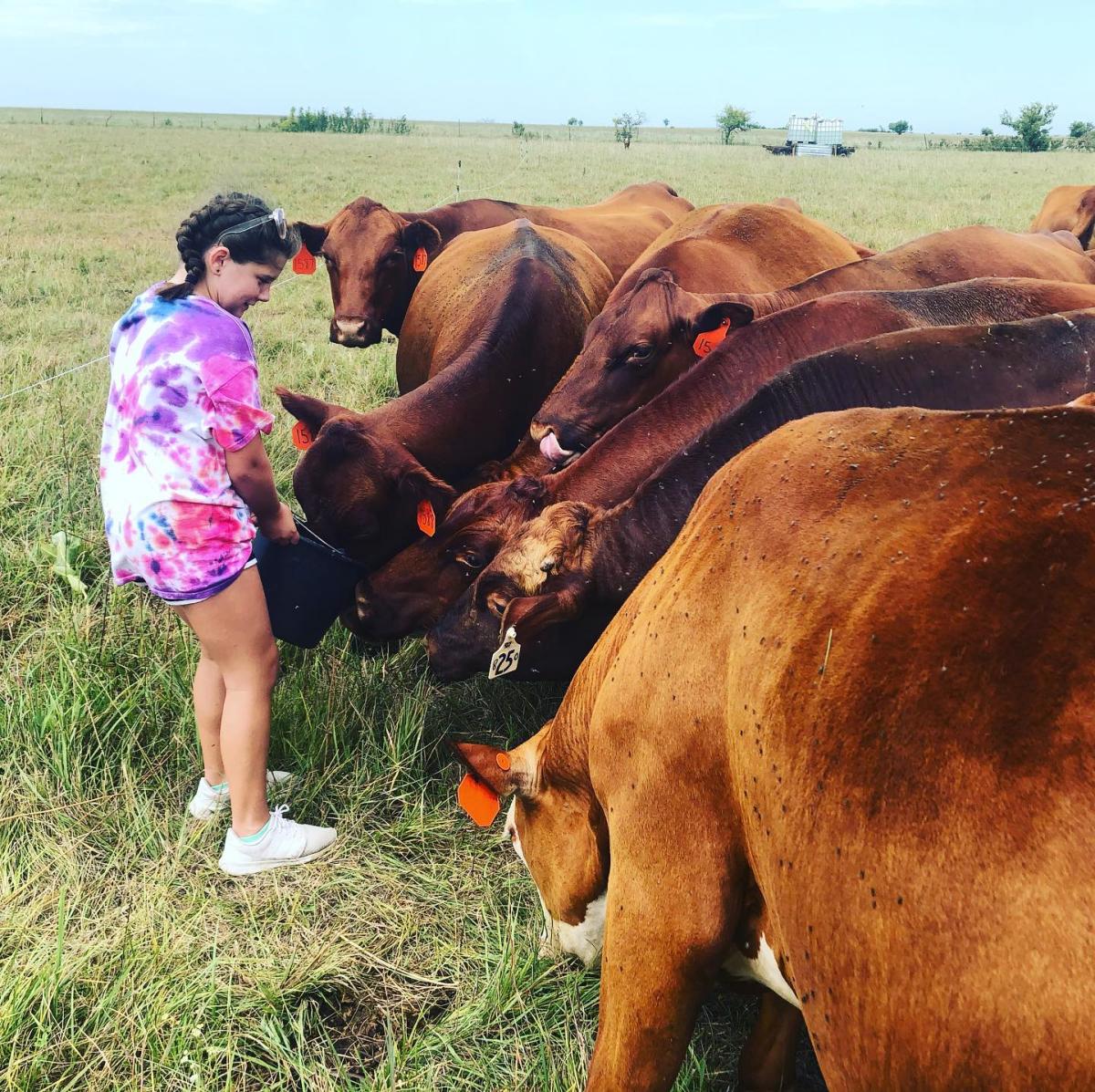 M.A.D. Farms Alta Vista KS, 66834