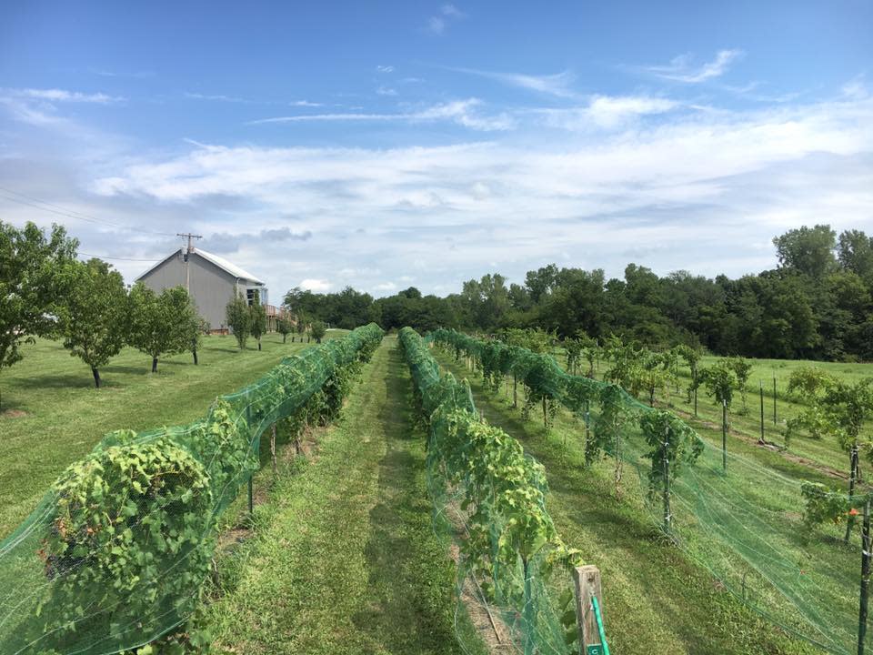 The Klinefelter Farm Hiawatha KS, 66434