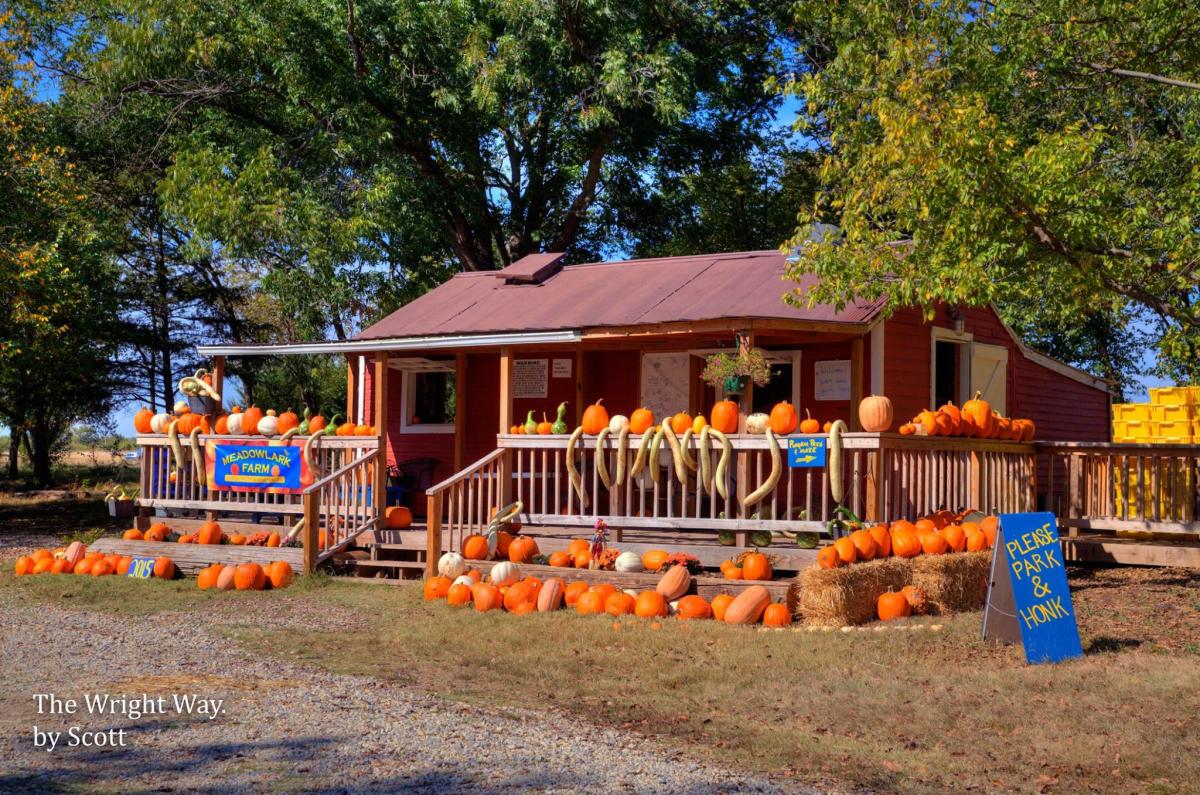 Meadowlark Farm Orchard Farm & Cidery LLC