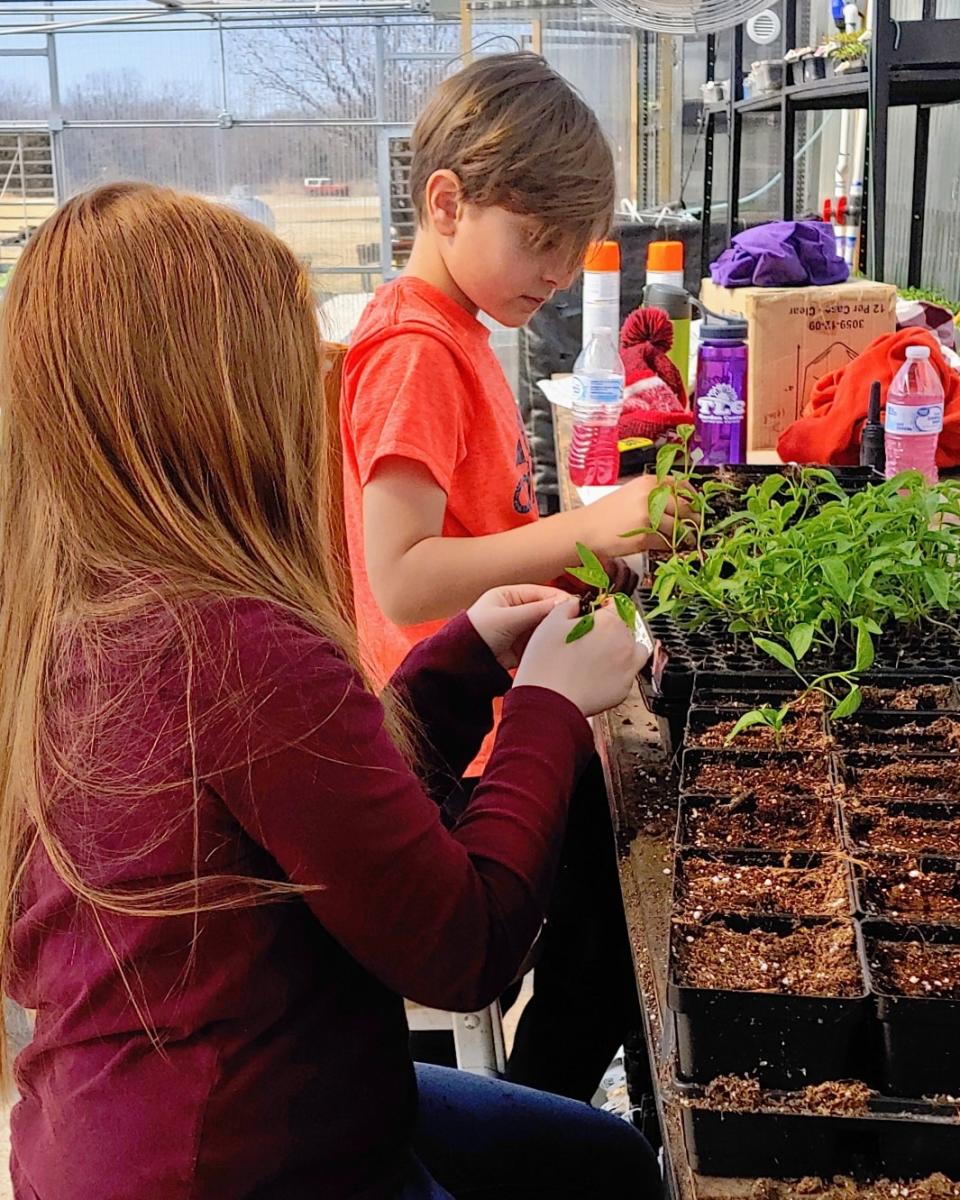 TLC Garden Center La Harpe KS, 66751