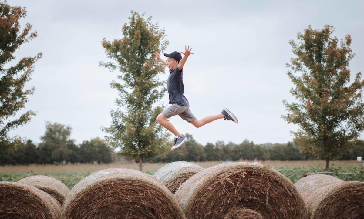 Cedar Creek Farm, LLC