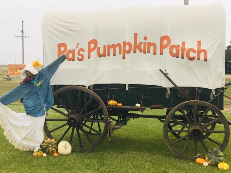 Pa's Pumpkin Patch Hays KS, 67601