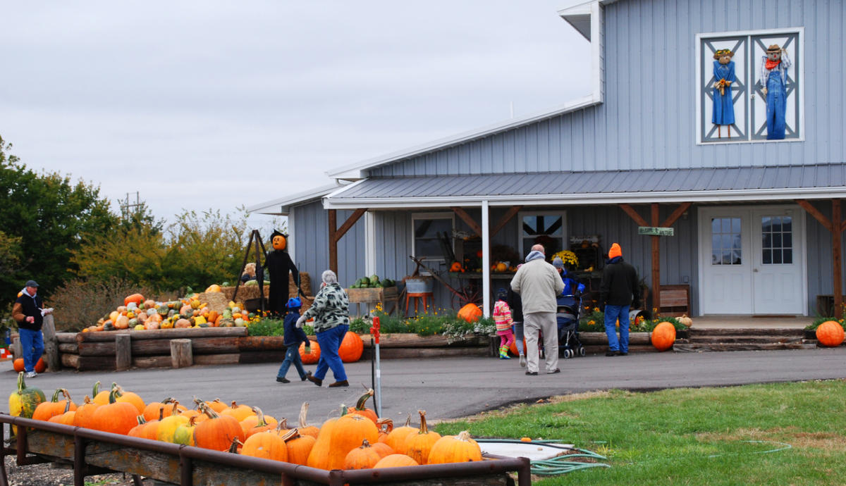 Walters' Pumpkin Patch Burns KS, 66840